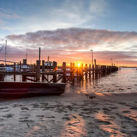 *alpenstrandlaeufer* *