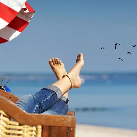 *alpenstrandlaeufer* Wittdün