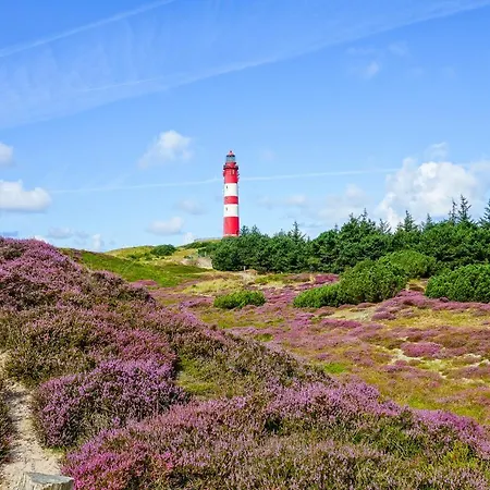 *alpenstrandlaeufer*